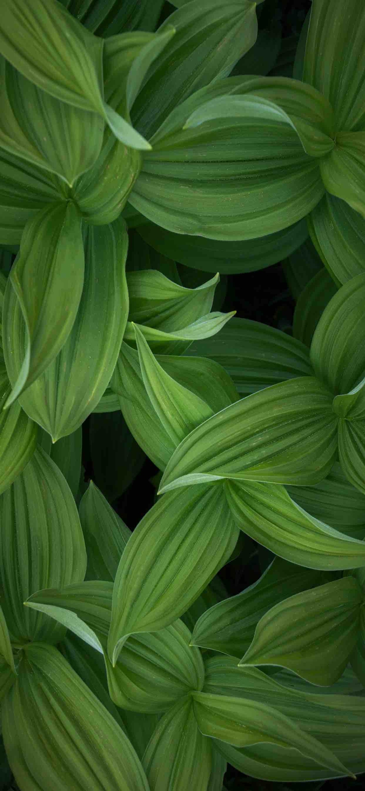 ⠀