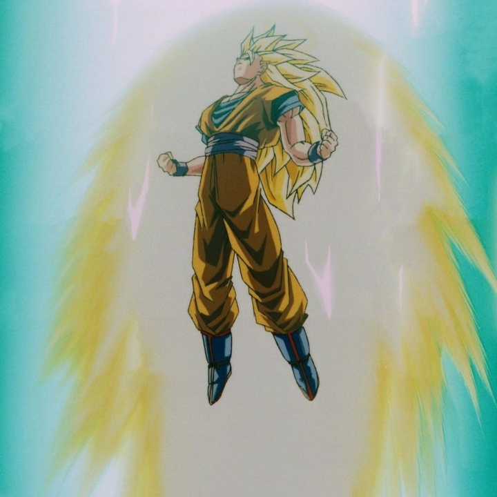 Goku ssj3