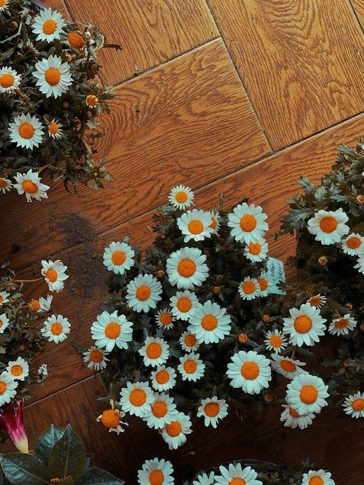 ♡
