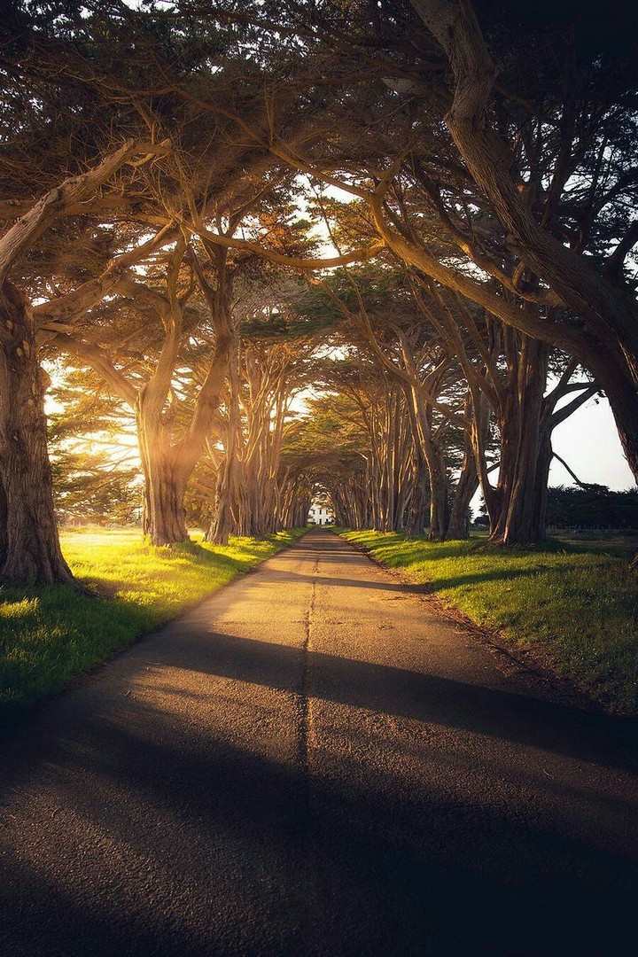 Road