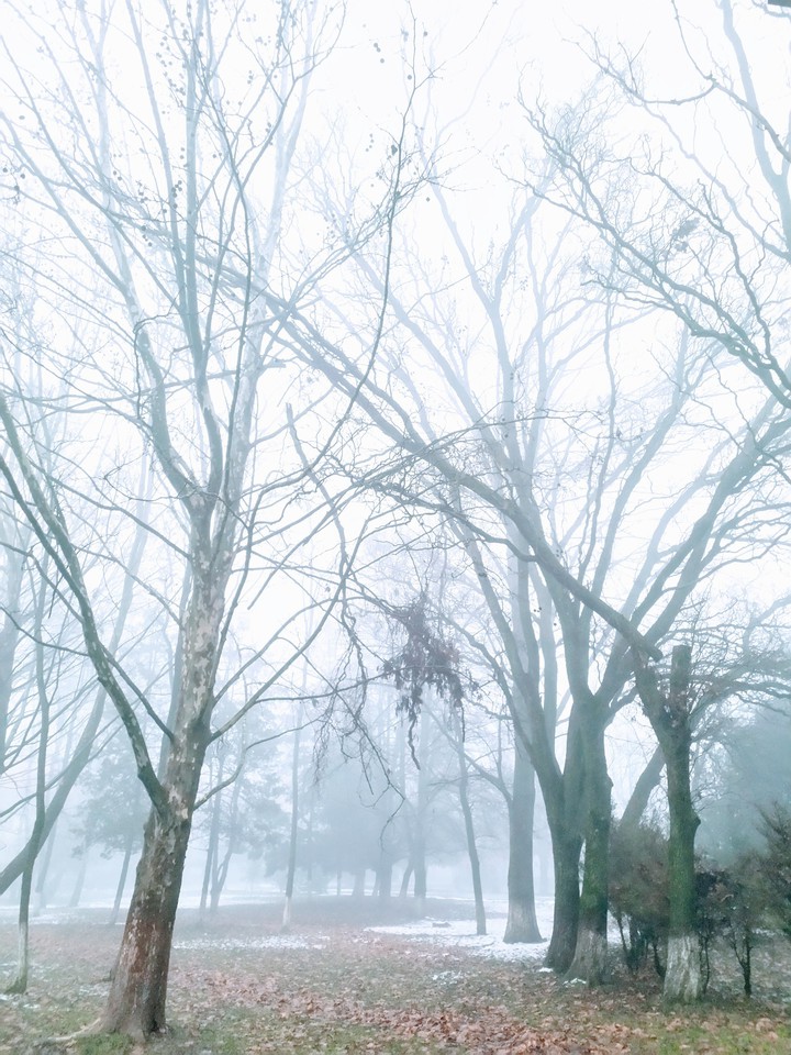 winteriscome