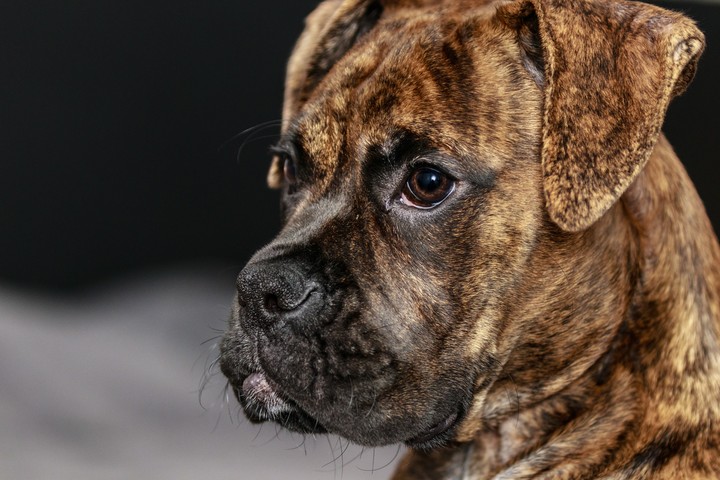 Ares