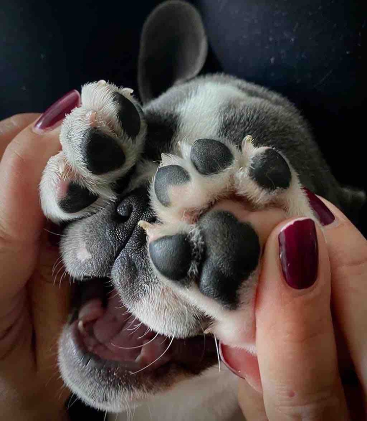 very cute