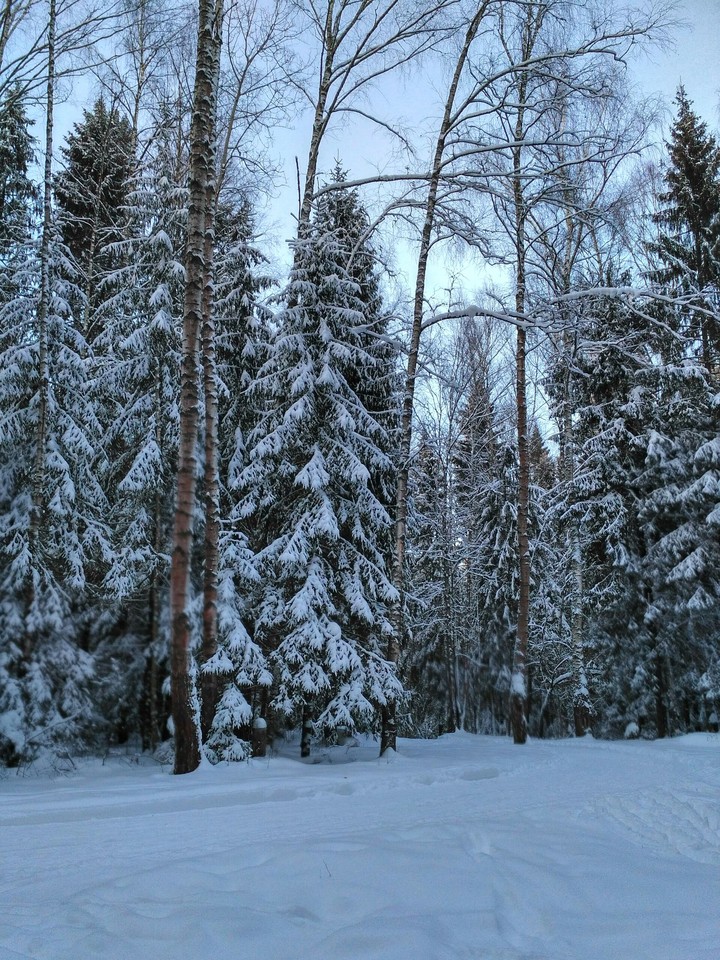 зима
