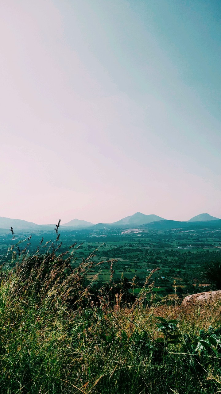 Nature