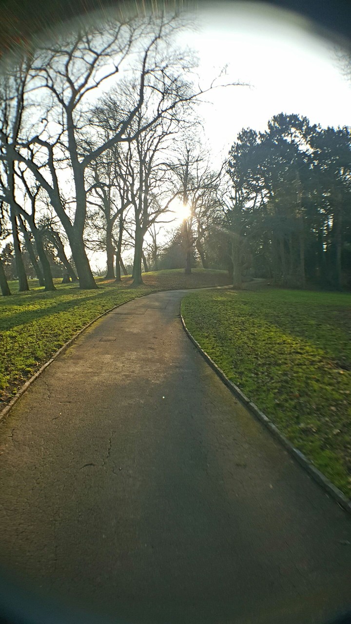 morning walks