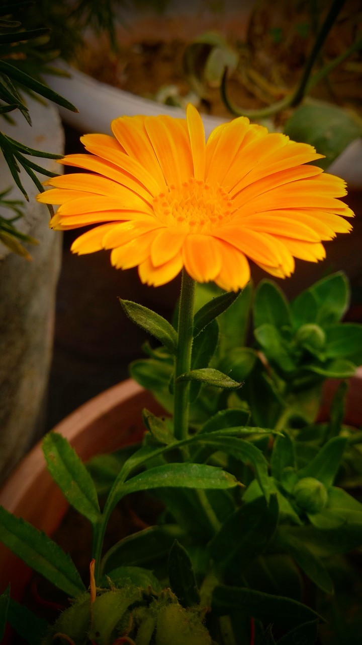 love photography