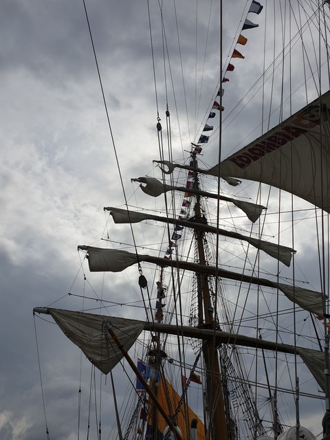Sea festival