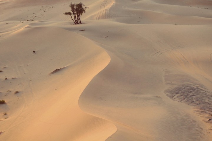 Wonderfull desert in Abu Dhabi
