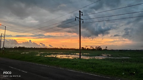 Nature