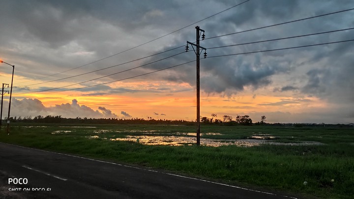 Nature