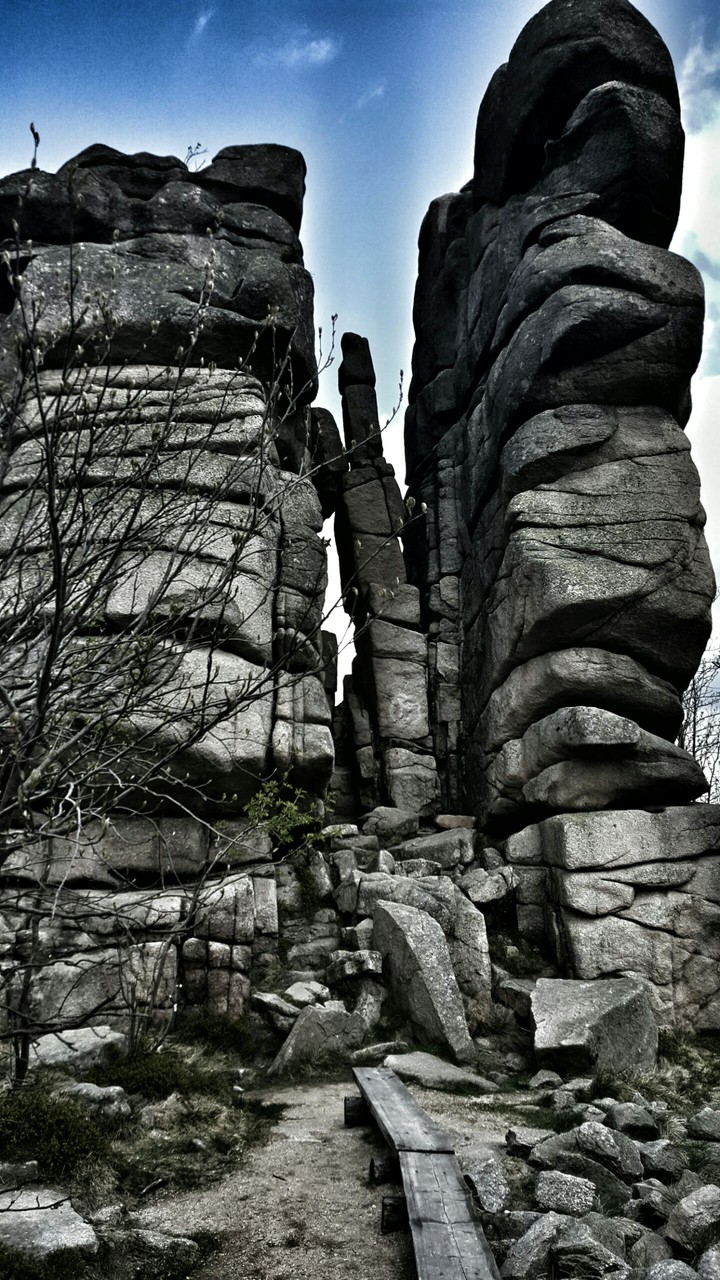 nature wall