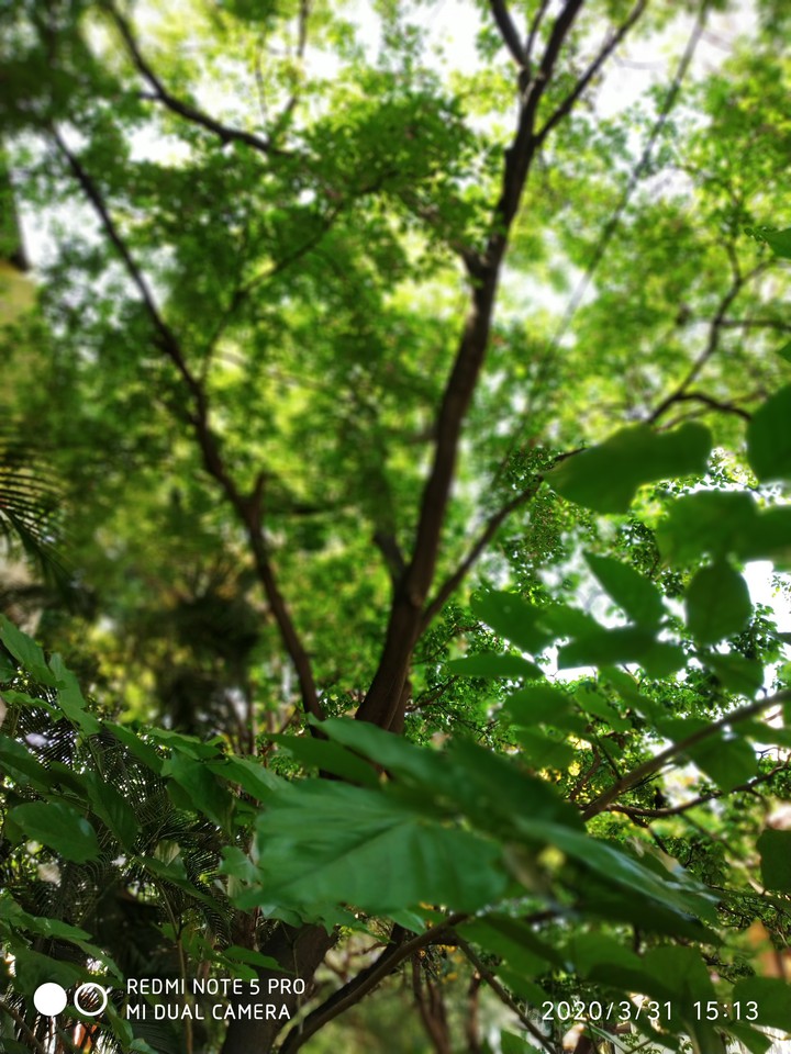 nature??