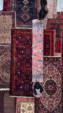 Iranian carpets ♥️