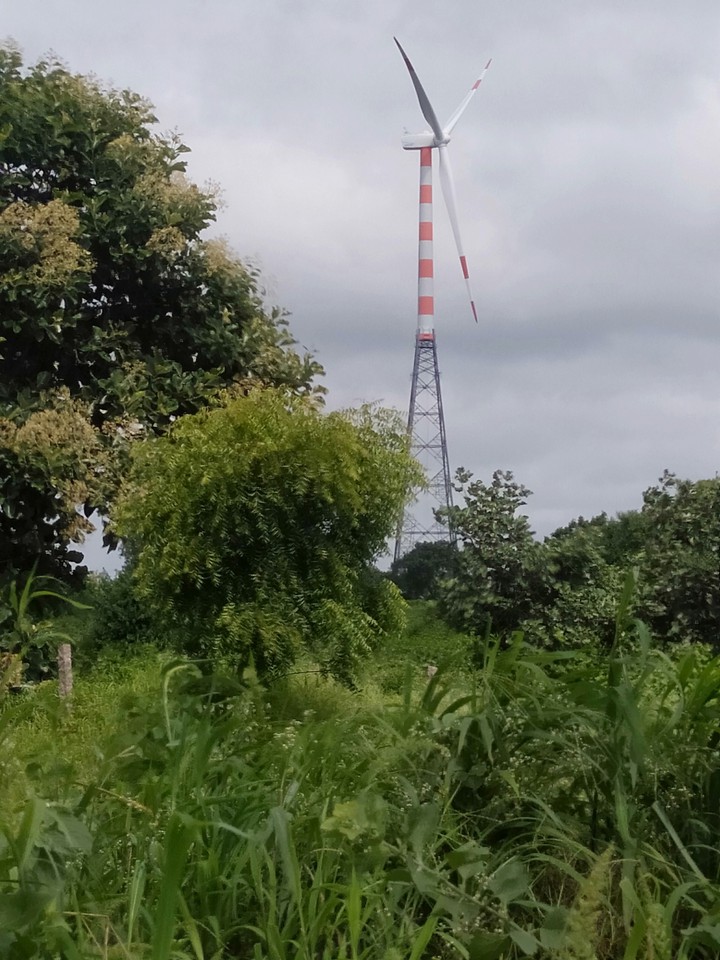 wind mills