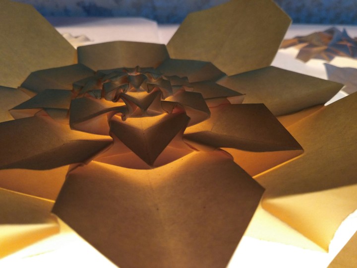 Paper flower of folds