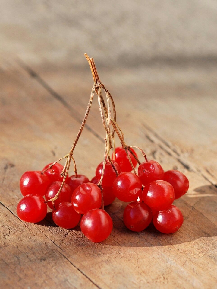 Fresh Fruit