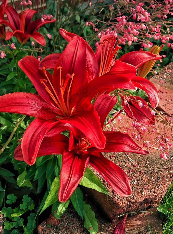 Blood Red