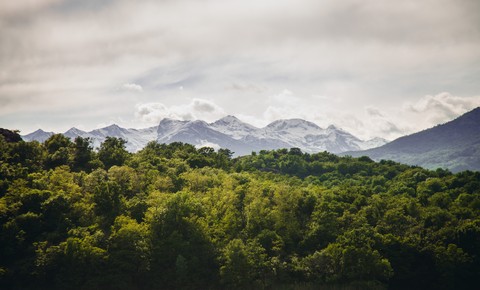 Mountains & Woods