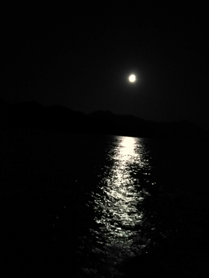 moonlight