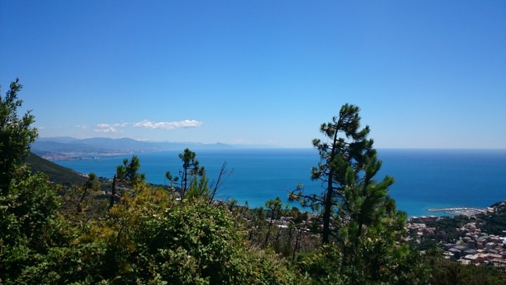 Paradise