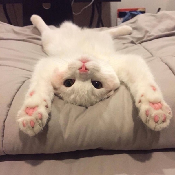 о