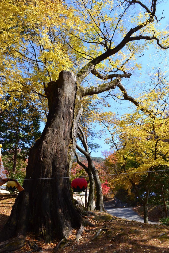 산이미지