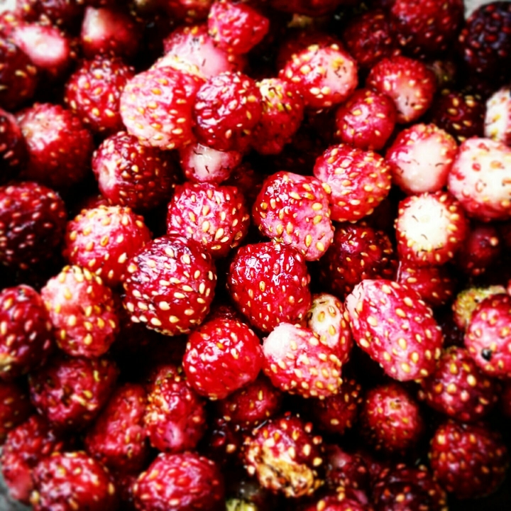 Strawberry