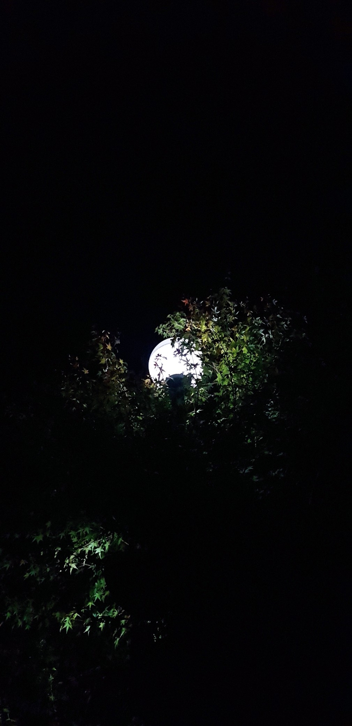 street light