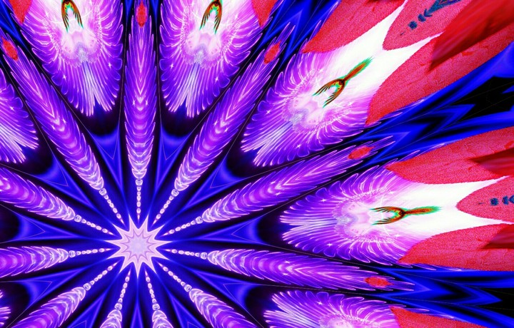 fairy and the Phoenix kaleidoscope