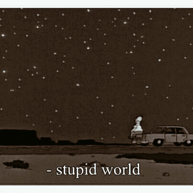 Stupid World