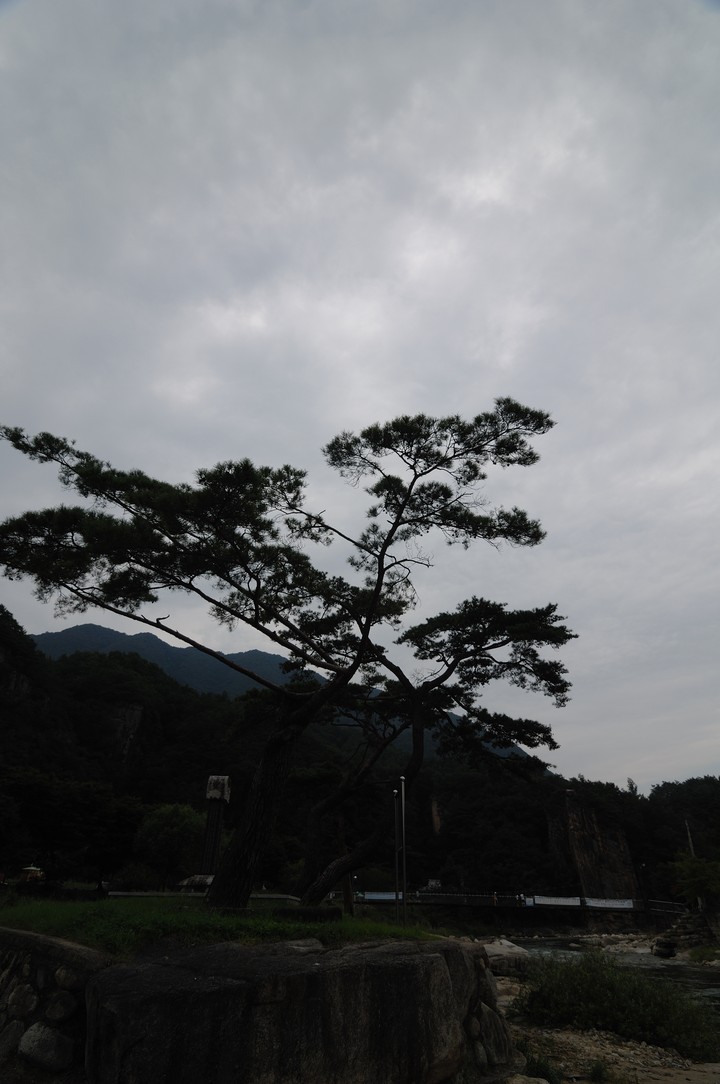 Asia