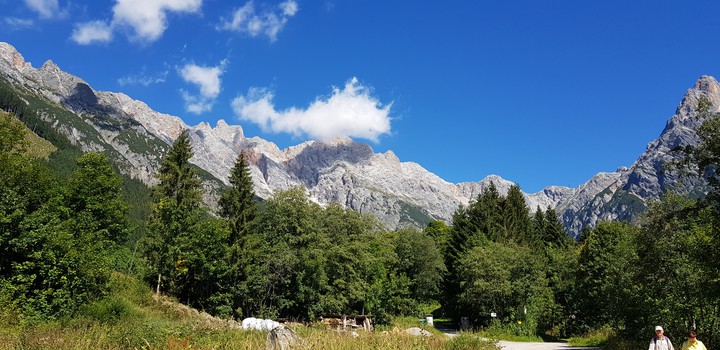 Alpen