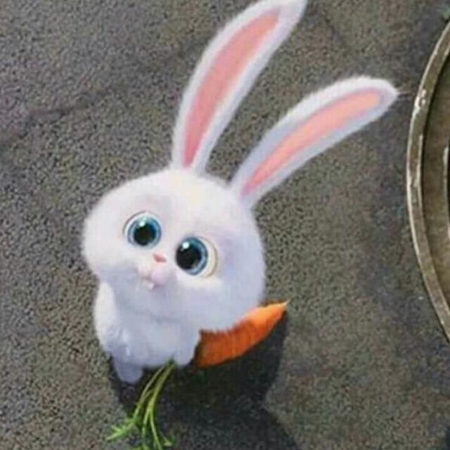 cute