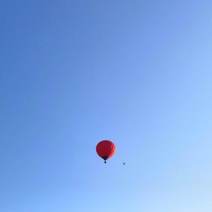Balloon
