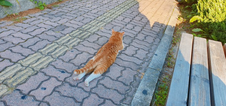 바게트빵