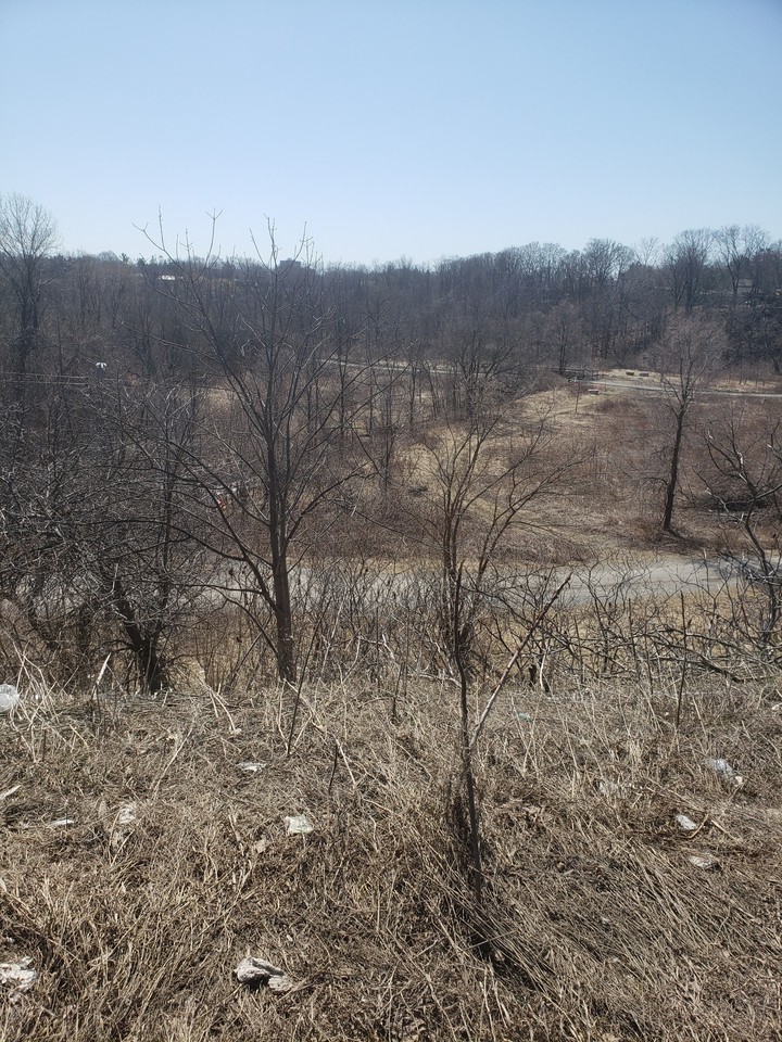 Toronto land