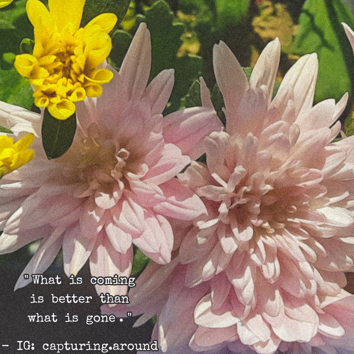 Quotes