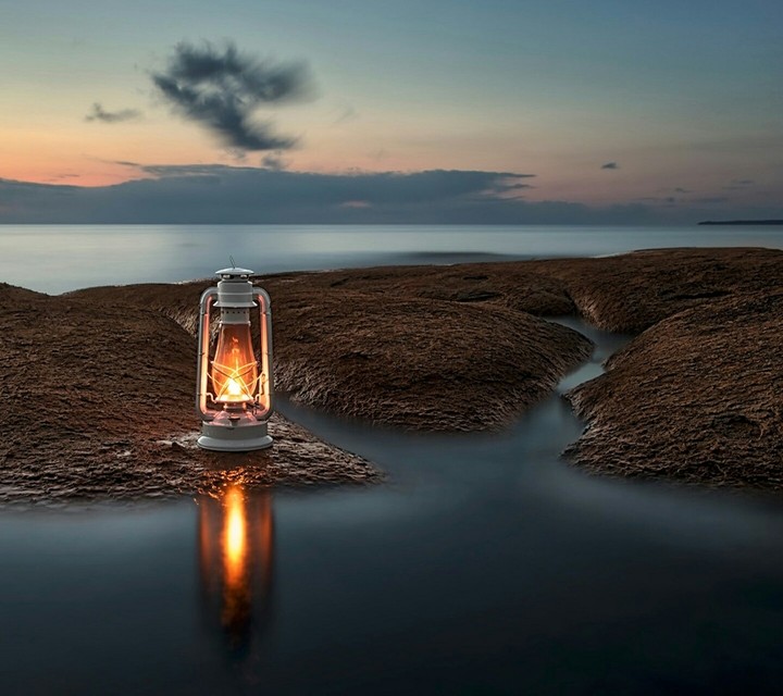 nature landscape