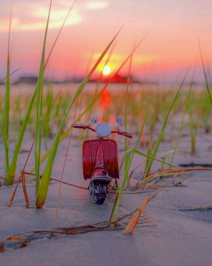mini scooter