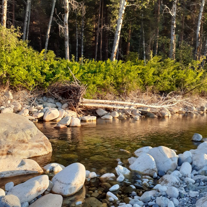 The river