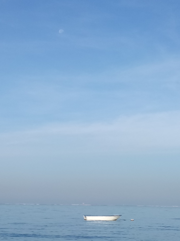 hello sea