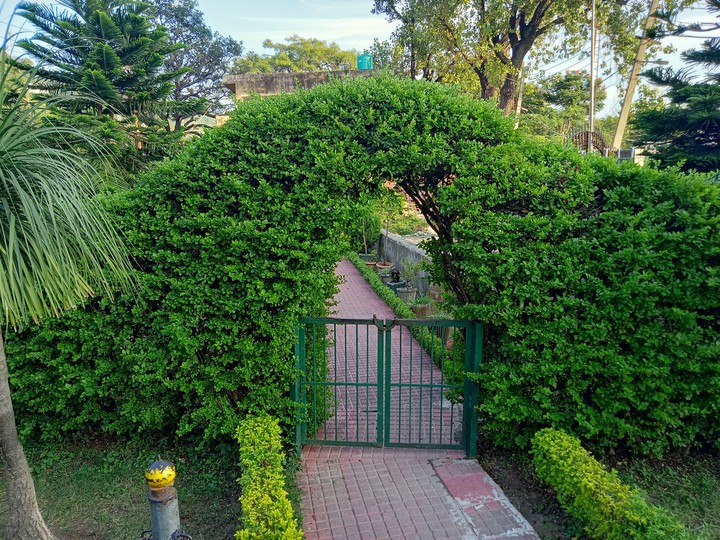 naturally click