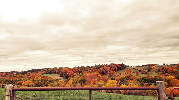 Fall