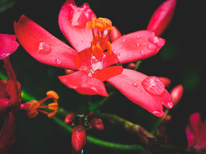 after_rain