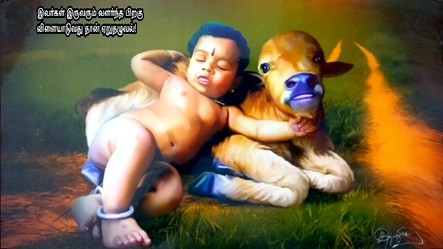 jallikattu