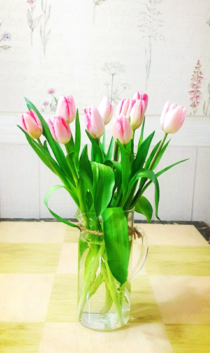 튤립 tulip