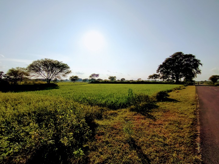 so beautiful nature