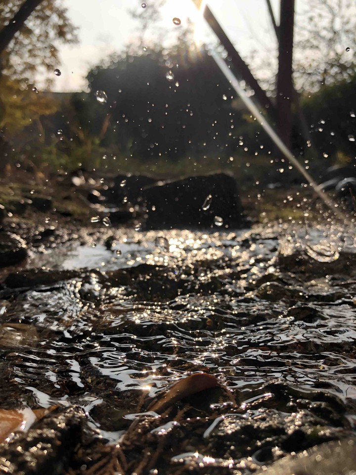 Water drop
