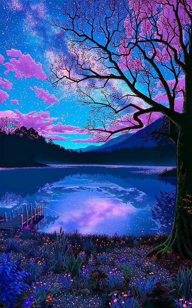 Paysage de Film